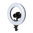 ProMaster Basis BR130D Daylight LED Ringlight - 14  Discount