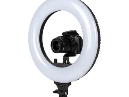 ProMaster Basis BR130D Daylight LED Ringlight - 14  Discount