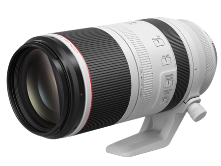 Canon RF 100-500mm F4.5-7.1 L IS USM Lens For Sale