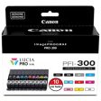 Canon PFI-300 Lucia PRO Ink, 10 Ink Tanks on Sale