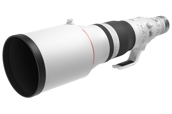 Canon RF 600mm f 4 L IS USM on Sale