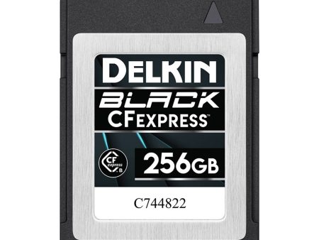 Delkin Black 256GB CFexpress Type B Memory Card Supply