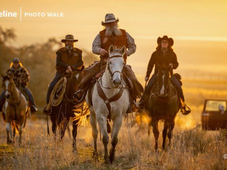 Bison Roundup at Antelope Island State Park - Oct 28th, 2023 Discount