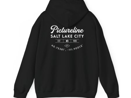 Old School Pictureline Unisex Hooded Sweatshirt (Back Design) Online